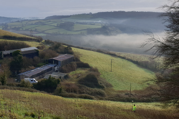 Farmland, Somerset